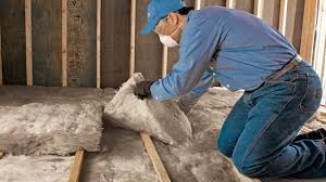 Best Spray Foam Insulation  in International Falls, MN